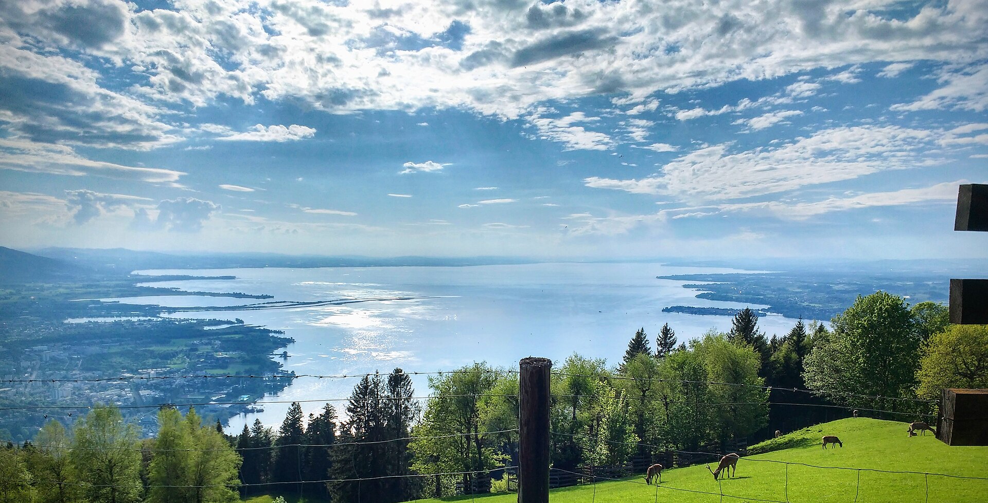 Blick vom Pfänder auf den Bodensee – Startpunkt der Radreise