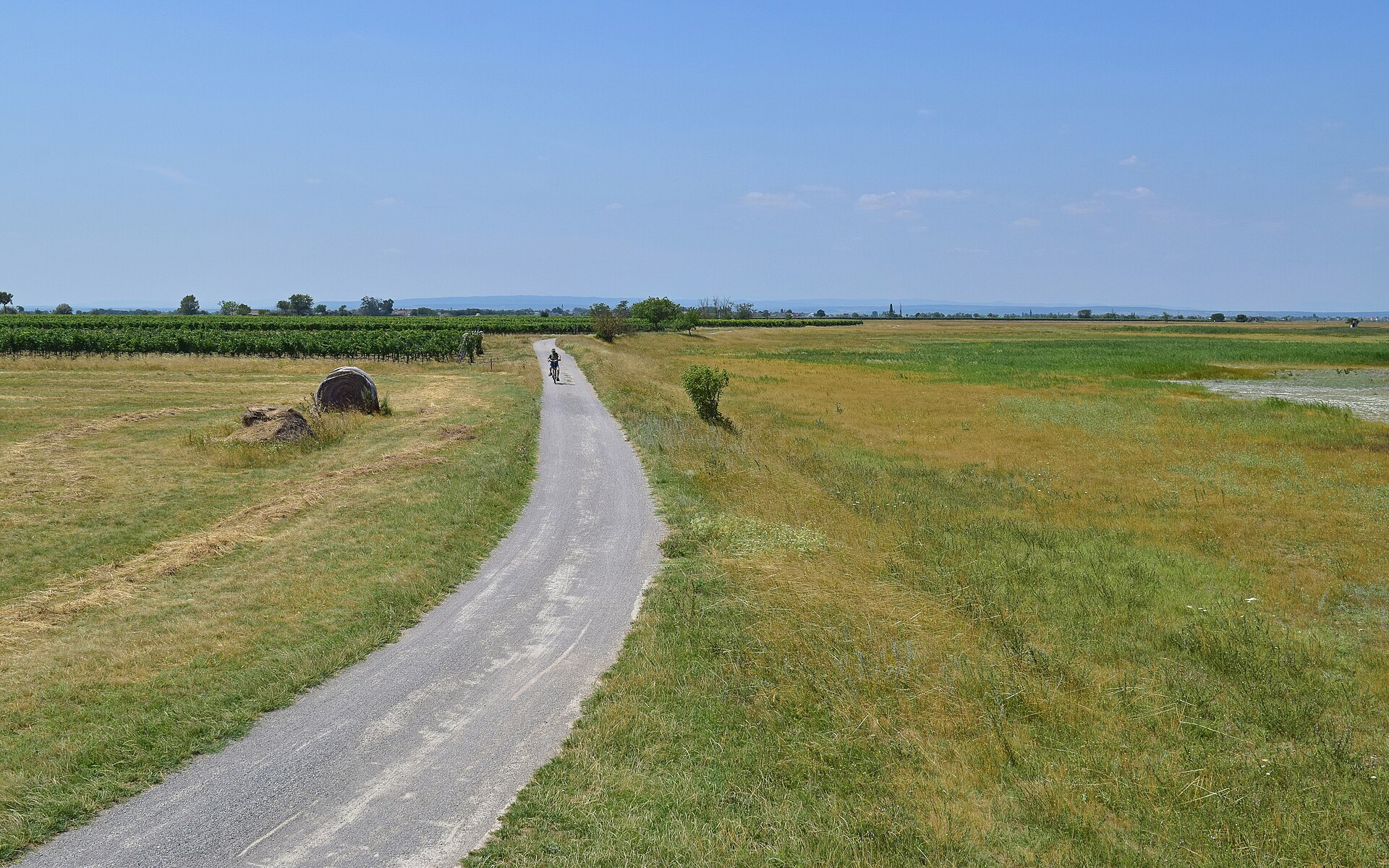 Radweg an der Langen Lacke im Nationalpark Neusiedler See-Seewinkel